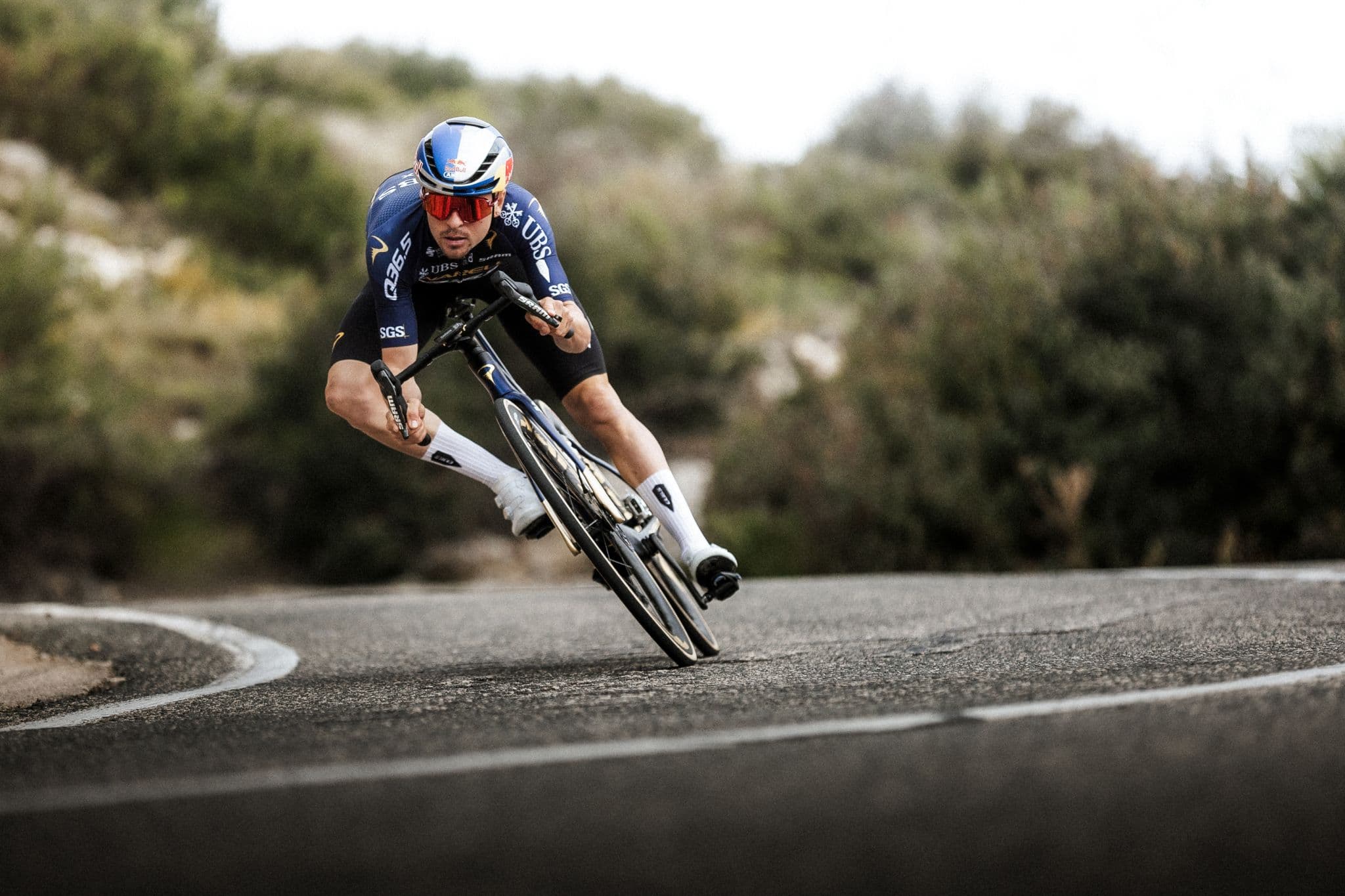 Q36.5 rider descending on Pinarello